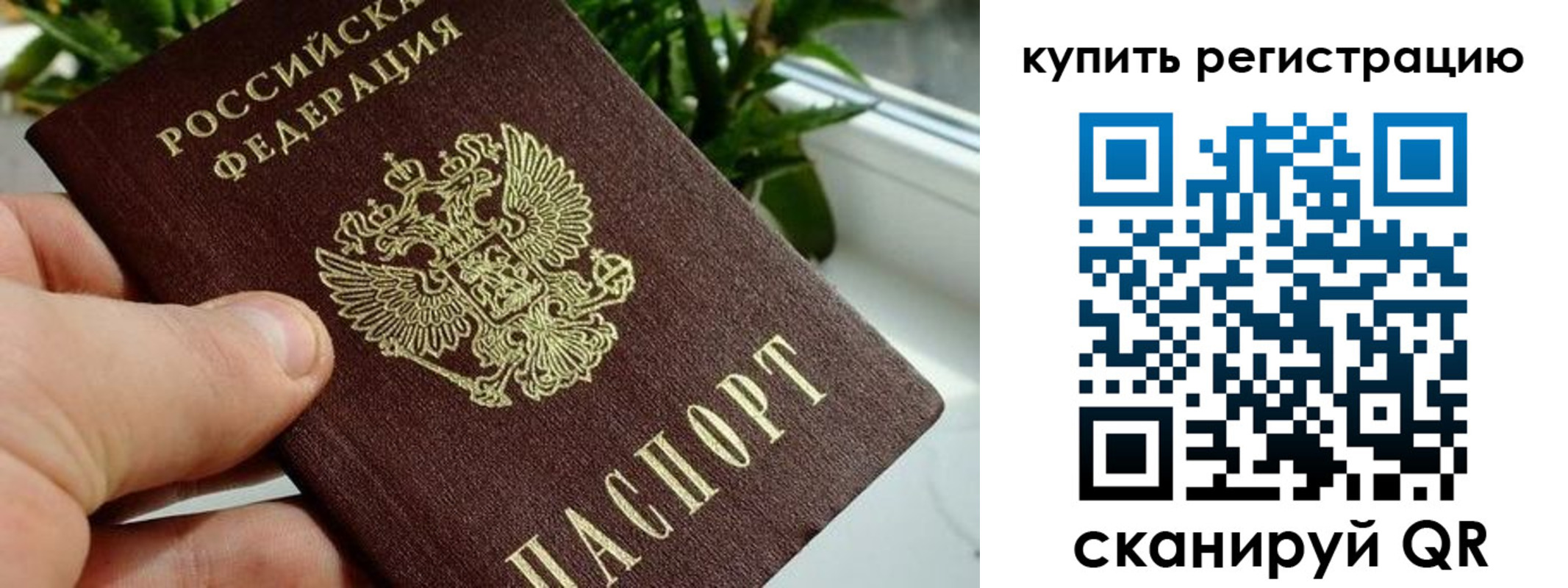 прописка гарантия в Жуковке
